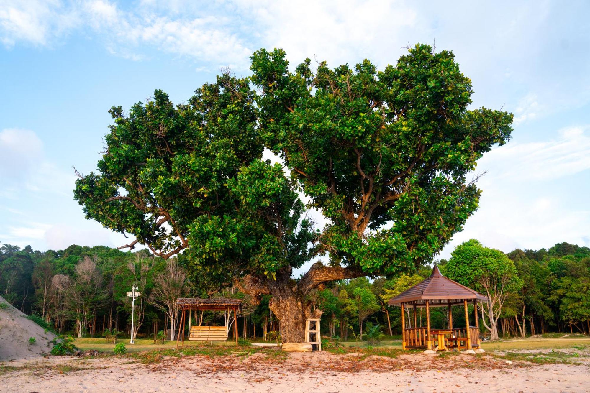 Kepri Coral Resort Galang Island 外观 照片